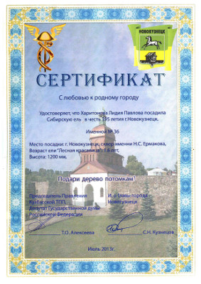 Сертификат "Любовь к городу 2013